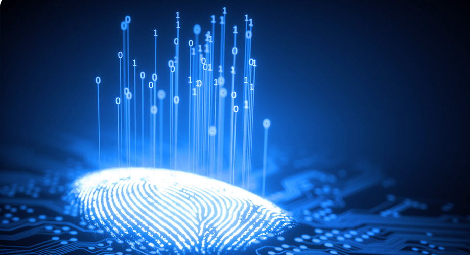 币游·国际(中国)最新官方网站